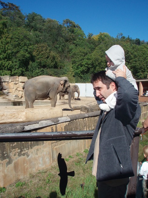 Babí léto v ZOO